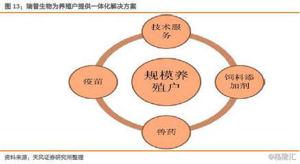 瑞普生物(300119.SZ):禽流感疫苗行業(yè)擴(kuò)容,公司迎黃金發(fā)展期——兼論生物飼料研發(fā)的戰(zhàn)略路徑